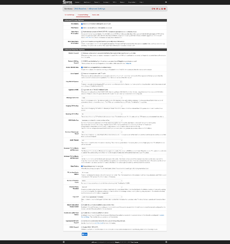 Screenshot 2024-07-20 at 19-26-38 pfSense.home.arpa - Services DNS Resolver Advanced Settings