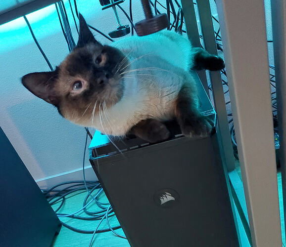 Fortune on my Proxmox server.