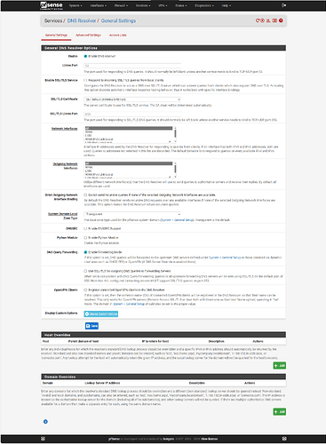 miller DNS Resolver config