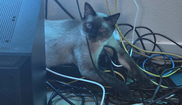 fortune-computer-cables