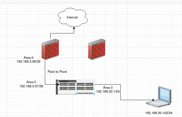 OSPF Environment