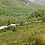 Kardal